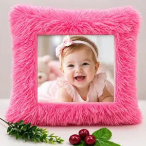 cushion frame